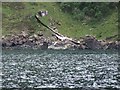 NG5142 : Sea Eagle with fish by Rob Farrow