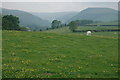 Grazing land above Coed Jeffrey