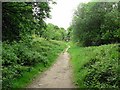 Path to Silk Mill Drive, Tinshill