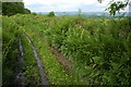 Club Lane, near Builth Road