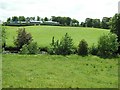 Mullaghinch Townland