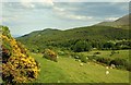 Mourne country near Bryansford (3)