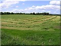 Ballygawley Townland