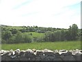 Tyddyn Gwydd Farmhouse from Lon Gwyrfai