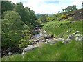 Down Dobbingstone Burn