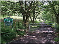 Entrance to Ynys Mond Forest