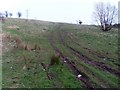 Track to summit of Douglas Muir