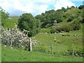 The Valley Of Dobbingstone Burn