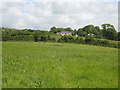 Pasture at Tresahor Veor