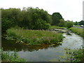 Pond at Peasmarsh