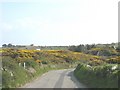 View south along the Rhoscolyn road