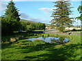 Pond at Achnasheen