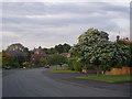 Road through Lilleshall