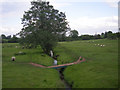 Stream through a field