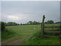 Footpath to Blymhill