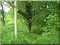 Footpath down the embankment