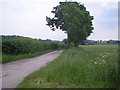 Access to Birchley Farm