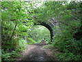 Bridge over the cutting