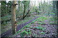 Remains of West Meon Station