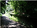 The remains of the platform of Compton Station