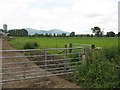 Fields at Sink Farm