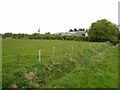 Ditch and field near Wardhead