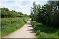 Nottingham Canal Nature Reserve