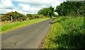 The Ballygowan Road near Kells and Connor