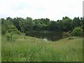 Pool - Fibbersley Local Nature Reserve