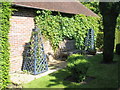 Shrub within Petersfield Physic Garden