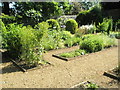 Flowerbeds within Petersfield Physic Garden