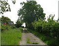 Footpath - Carr Lane, Micklethwaite