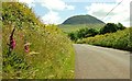 The Carnstroan Road near Buckna