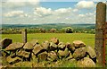 Drystone wall, Slemish (4)