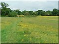 Field by Sussex Avenue, Horsforth