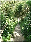 SY9078 : Kimmeridge: steps on the South West Coast Path by Chris Downer