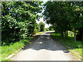 ST5390 : Country Lane by Stuart Wilding