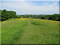 Grassmoor Country Park View