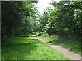 Footpath,River Eden