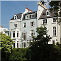 Blenheim Crescent houses from communal garden