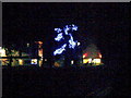 Tree Illuminated by Christmas Lights, Birchington