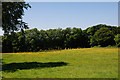 Meadow near Esgair-wen-isaf