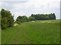 The Ridgeway above East Ginge