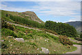 View towards Buckbarrow from the track to Windsor Farm