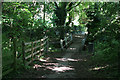 Crossing the Potwell Dyke