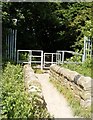 Footpath through Westerton Wood