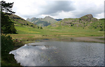 NY2904 : Blea Tarn and the Langdale Pikes by Espresso Addict