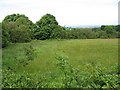 Hay meadow, Glascoed