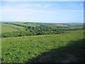 Farmland near Penlean