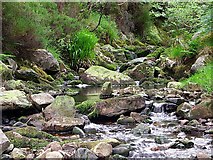 C3546 : Glenevin valley and stream by David Ayrton